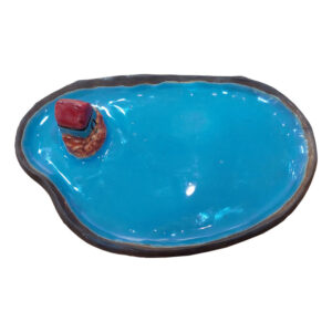 جاعودی طرح جزیره